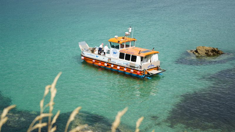 One-Hour Private Catamaran Charter_MatildaShields