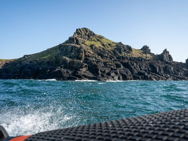 padstow-gallery-04